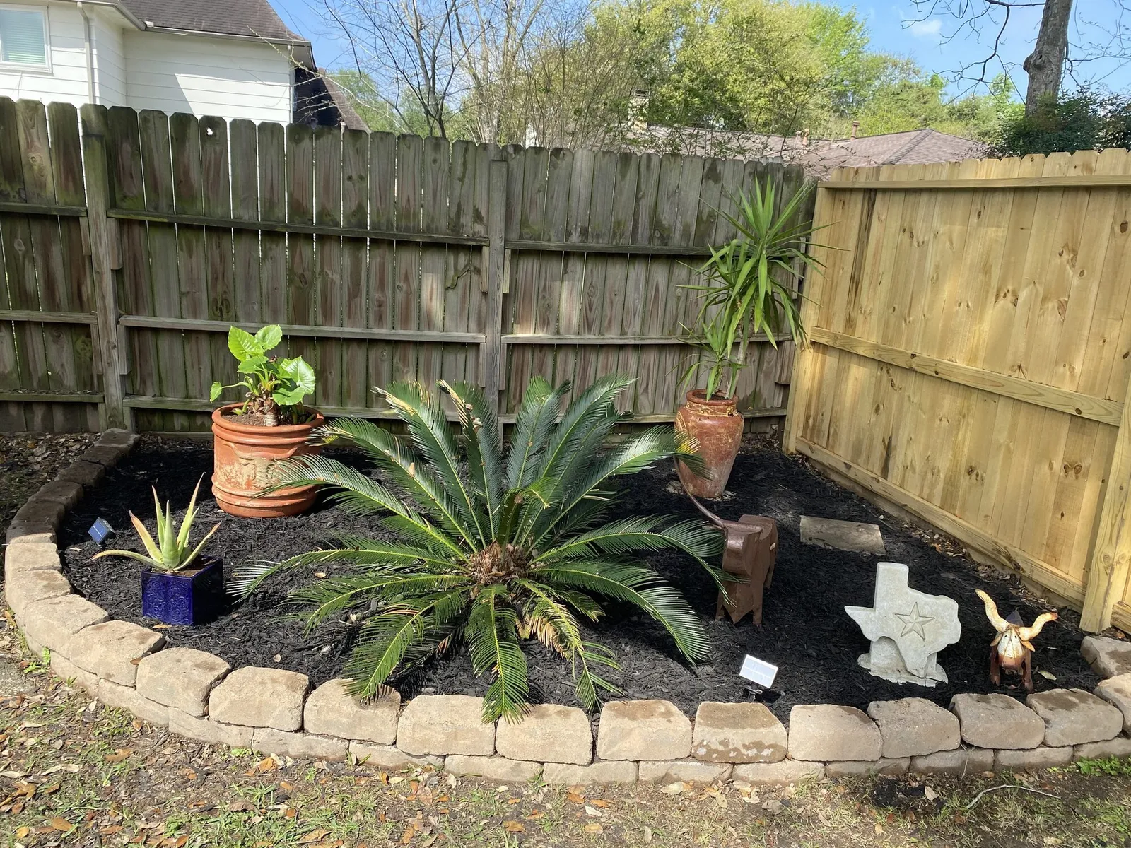 Backyard bed with palms, fresh mulch, and a stone border by The Landscape Genius