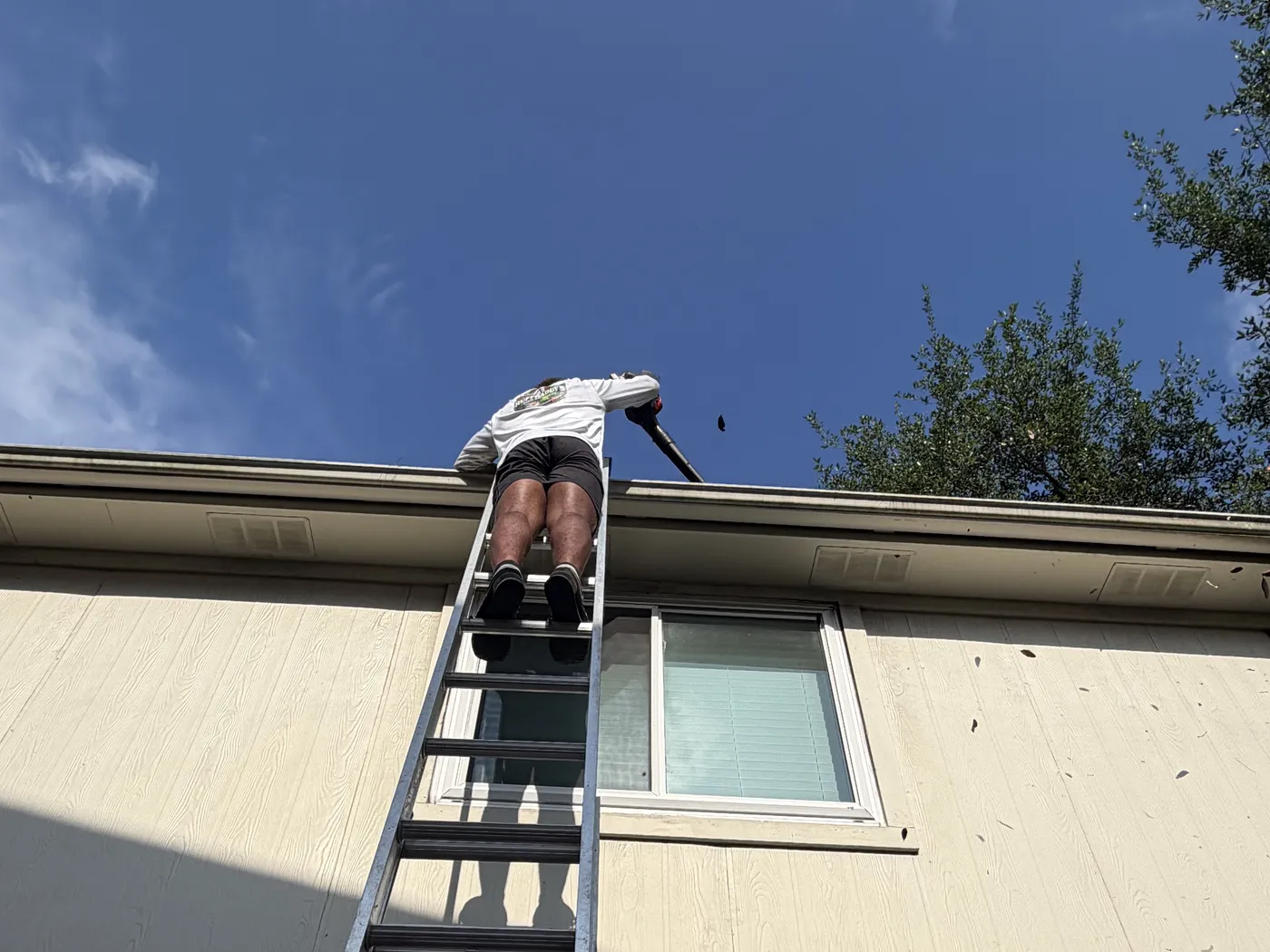 Gutter Cleaning & Guards